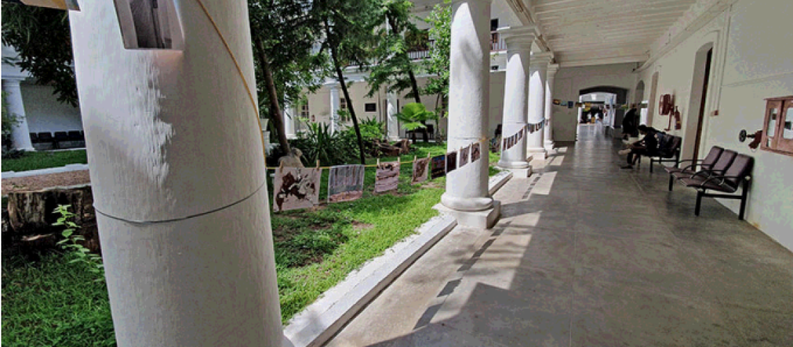 La grande lessive 2019 a eu lieu le 18 octobre