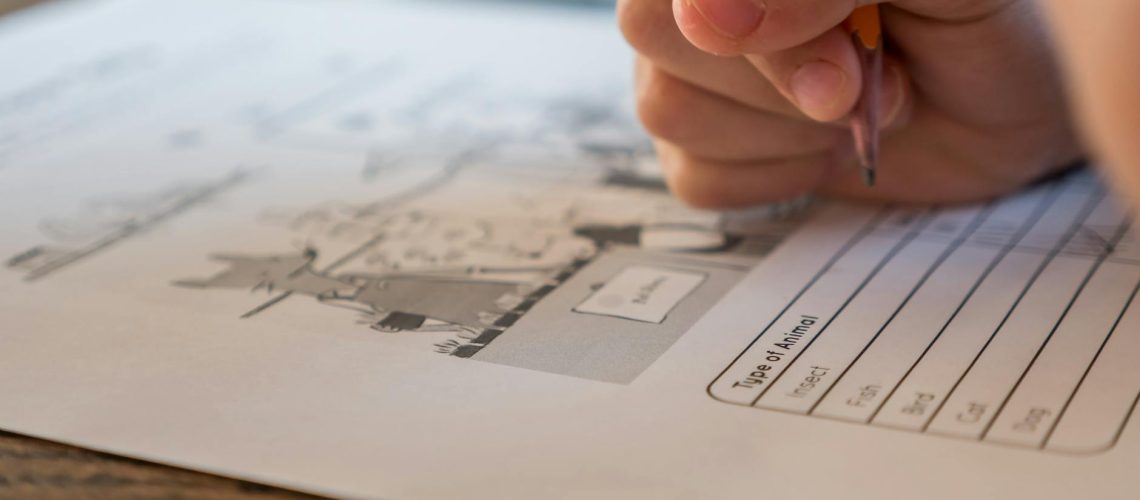 schoolchild solving elementary science test